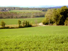 Countryside.jpg (1020989 bytes)