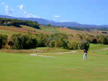 Denis_plays_golf.jpg (154911 bytes)