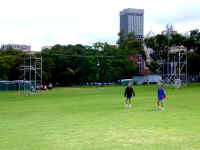 Flying boomerang.JPG (92665 bytes)