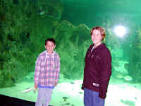I & A aquarium.JPG (66372 bytes)