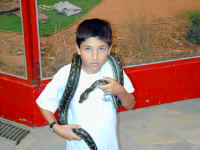 Ian python.JPG (91921 bytes)