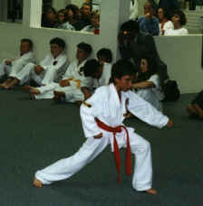 redblack belt test.JPG (87581 bytes)